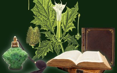 Erbe, Libri & Profumi